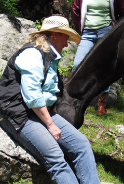 Seven Bridges Field Club Tennis