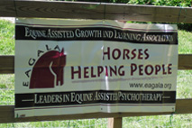 Horses Helping People Banner
