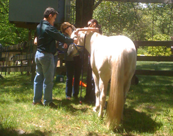 Participating in the Physical Program